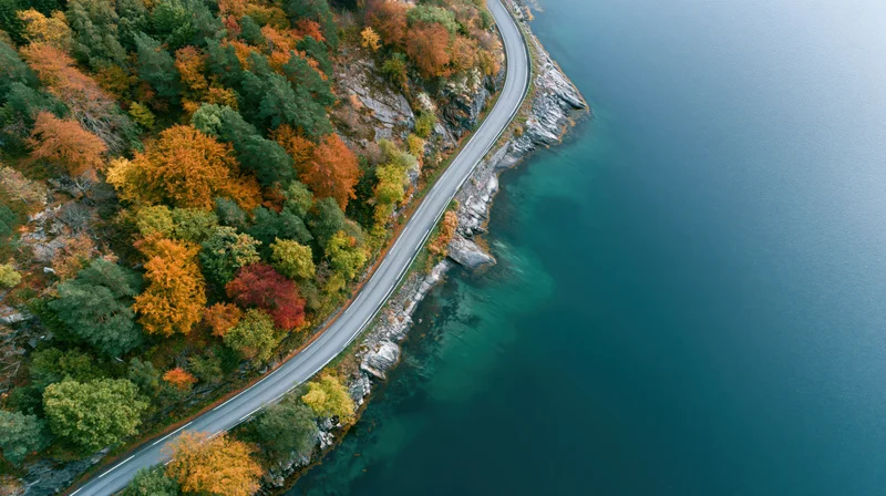 Aerial view of a winding two-lane road along a forested cliffside beside a deep blue fjord in autumn