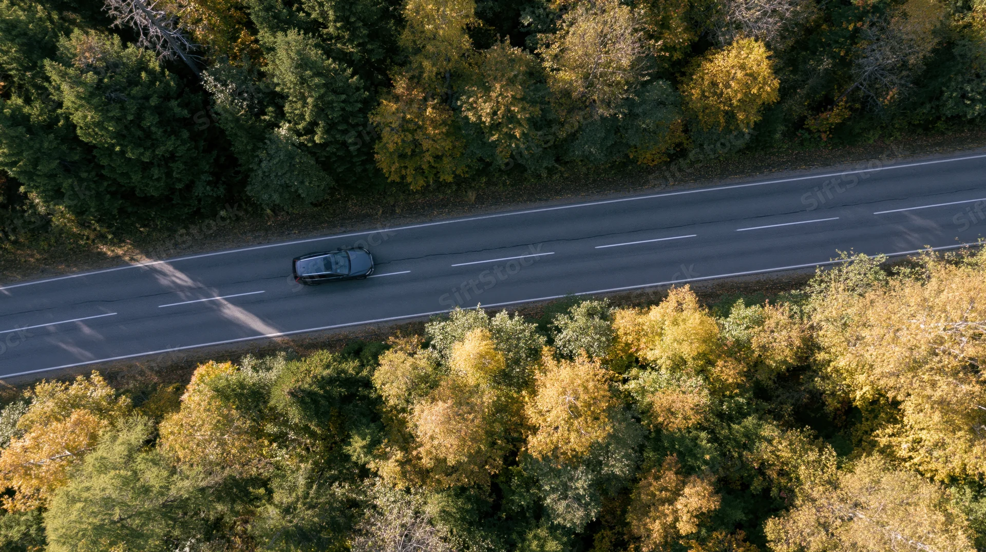 Dark suv driving on asphalt road through autumn forest from aerial top-down view