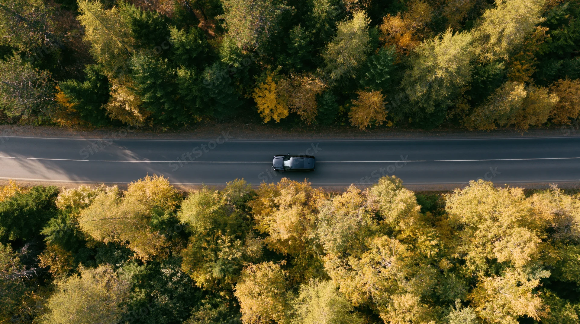 Aerial top-down view of a black suv driving along a road through autumn forest