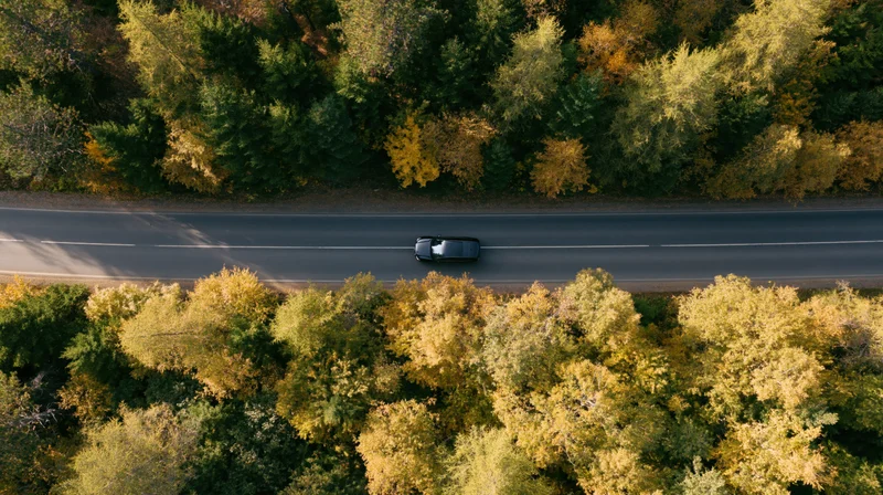 Aerial top-down view of a black suv driving along a road through autumn forest