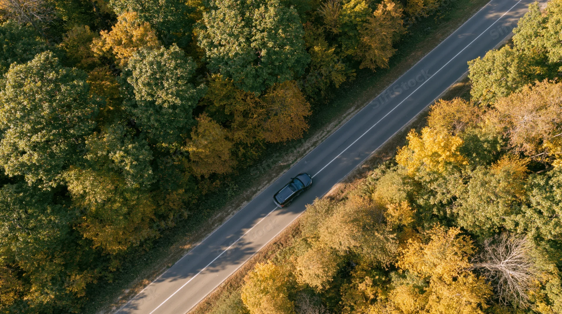Dark SUV driving along a winding road through autumn forest from aerial view