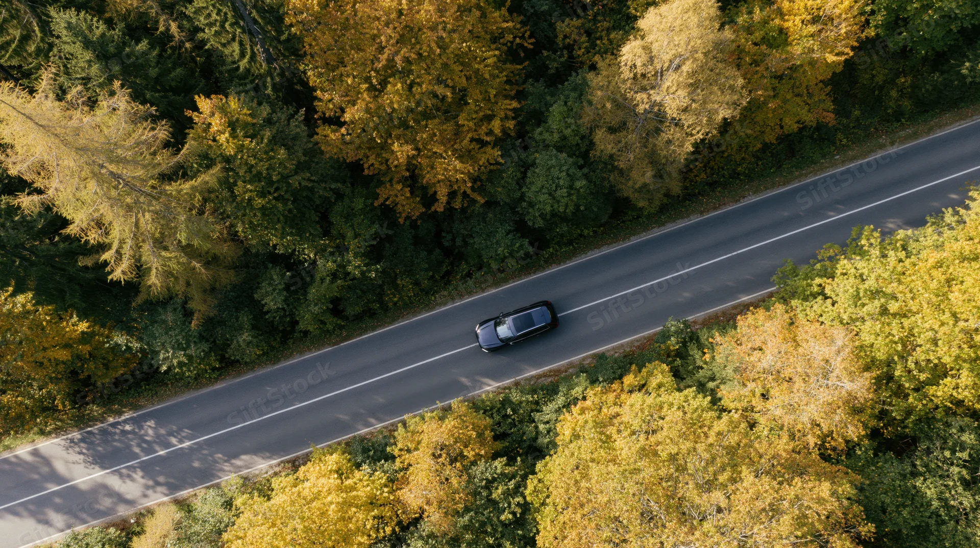 Aerial top-down view of a black suv driving along a road through an autumn forest