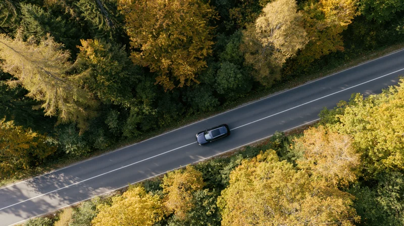 Aerial top-down view of a black suv driving along a road through an autumn forest