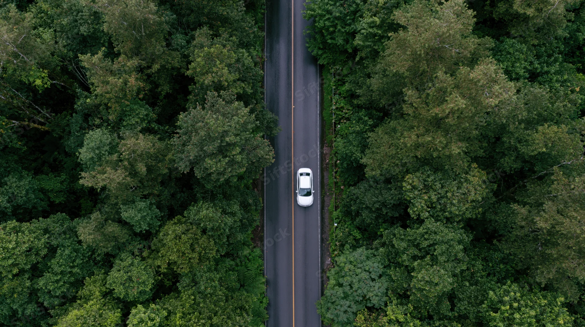 White car driving on narrow road through dense forest from aerial top-down view