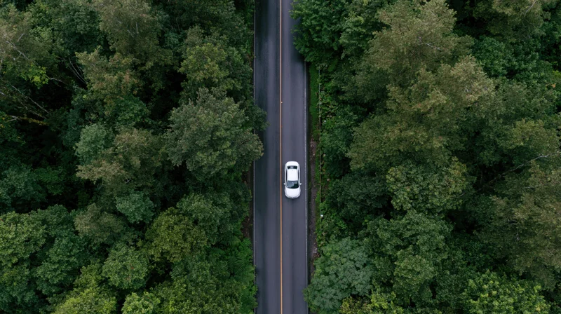 White car driving on narrow road through dense forest from aerial top-down view
