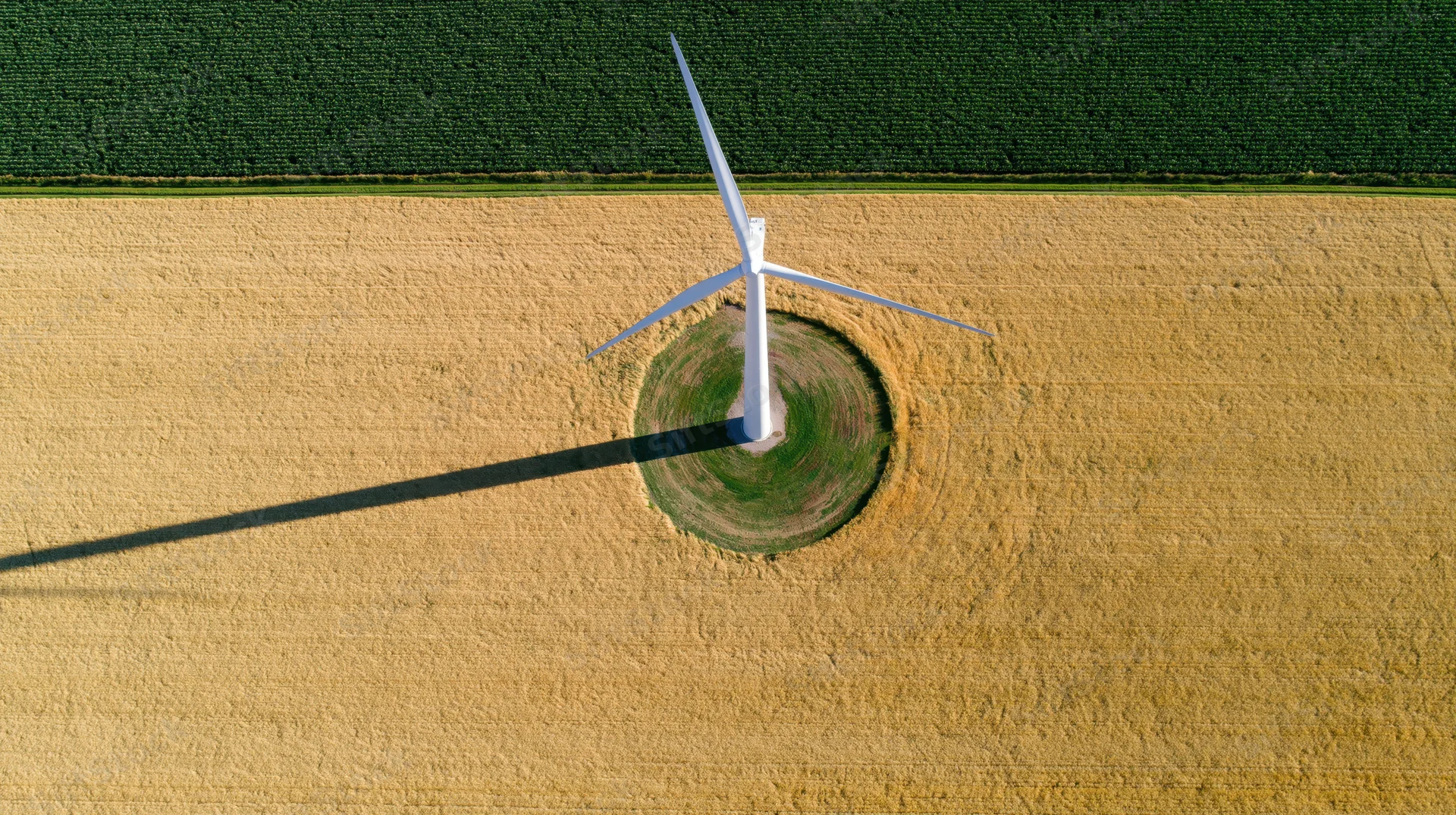Aerial top-down view of a single white wind turbine in a field of corn and wheat
