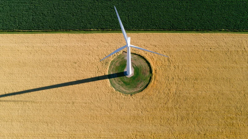 Aerial top-down view of a single white wind turbine in a field of corn and wheat