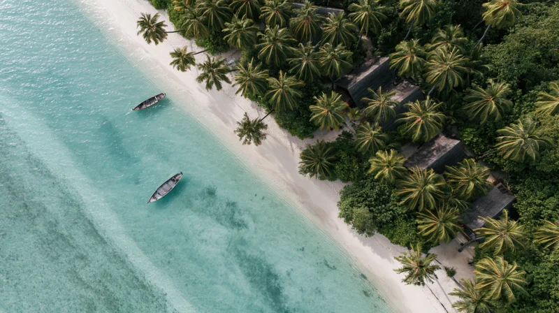 Aerial view of tropical beach resort with palm trees and boats along the shoreline