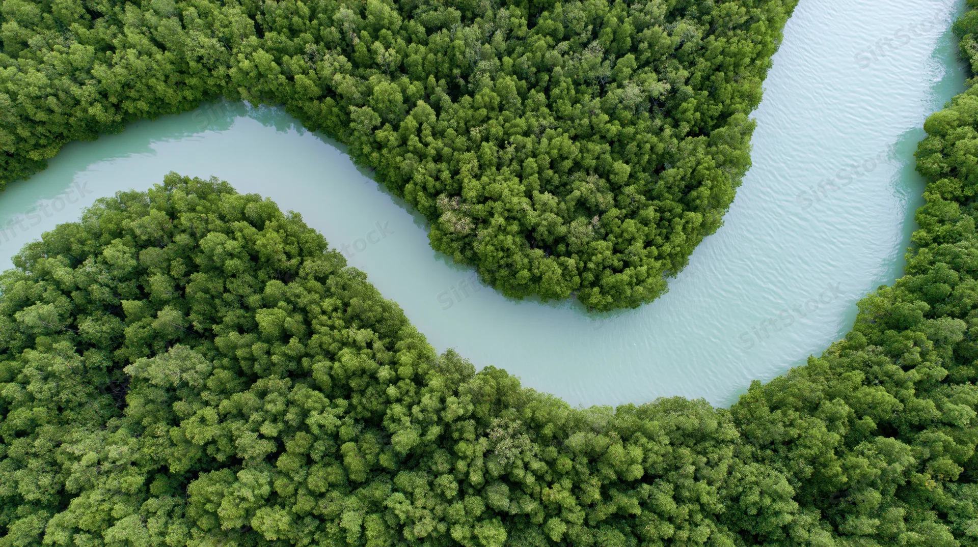 Aerial top-down view of a winding turquoise river flowing through dense green forest canopy