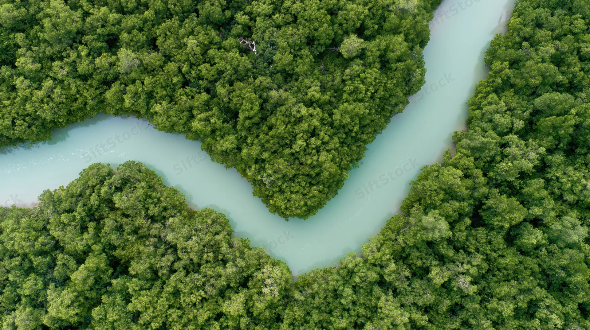 Aerial top-down view of a winding turquoise river through dense green forest canopy