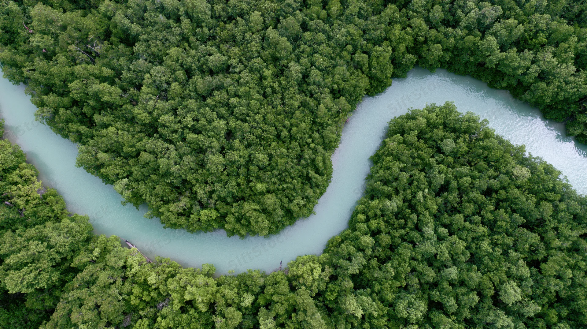 Aerial top-down view of a winding turquoise river flowing through dense green forest canopy