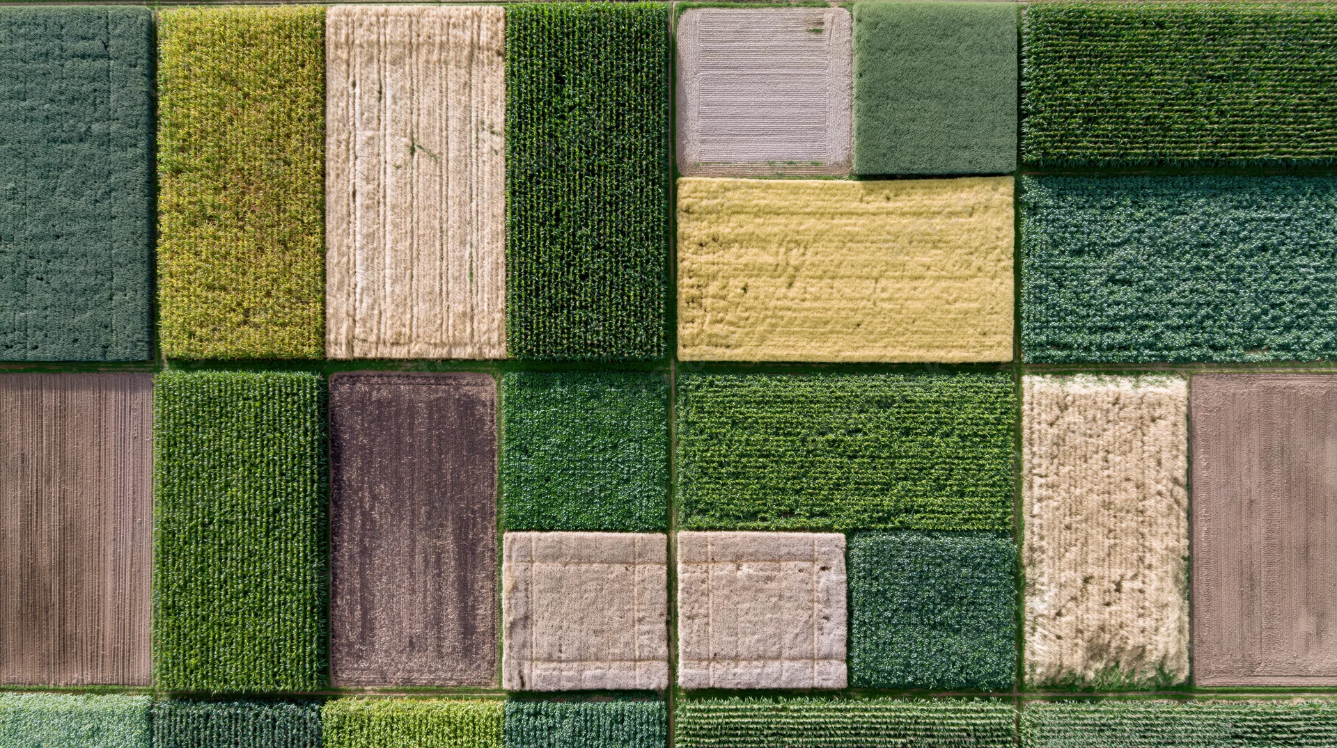 Aerial top-down view of patchwork agricultural fields in rural landscape