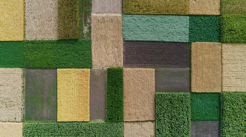 Aerial top-down view of patchwork agricultural fields in rural landscape