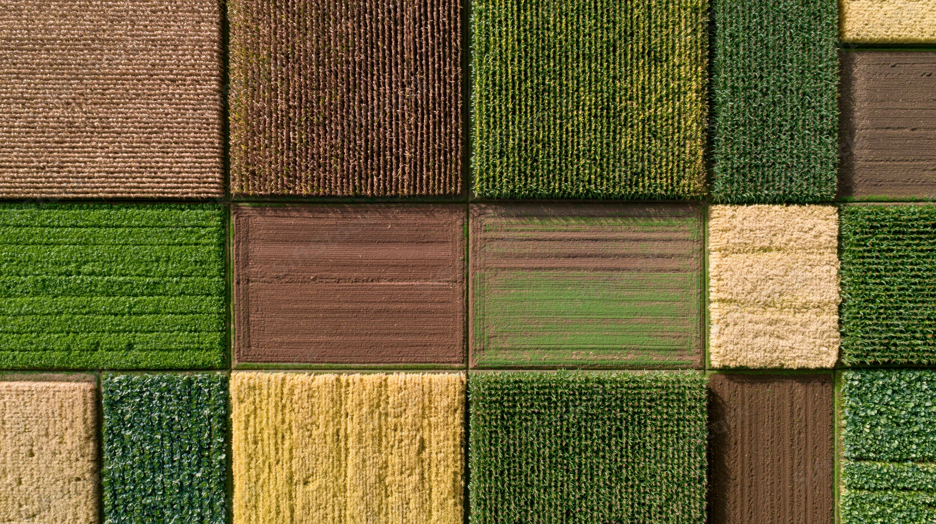 Aerial top-down view of patchwork agricultural fields in rural countryside