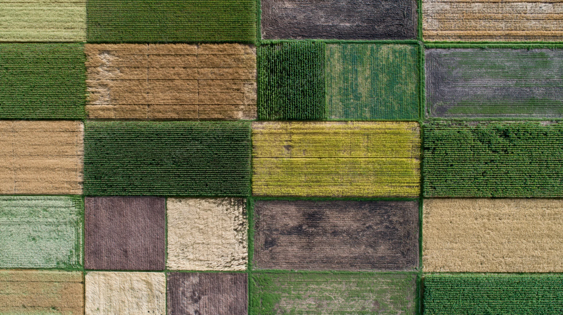 Aerial top-down view of patchwork agricultural fields in rural landscape