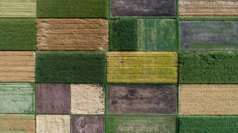 Aerial top-down view of patchwork agricultural fields in rural landscape