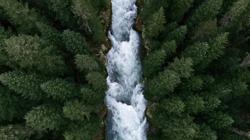 Aerial top-down view of a rushing whitewater river flowing through a dense forested canyon