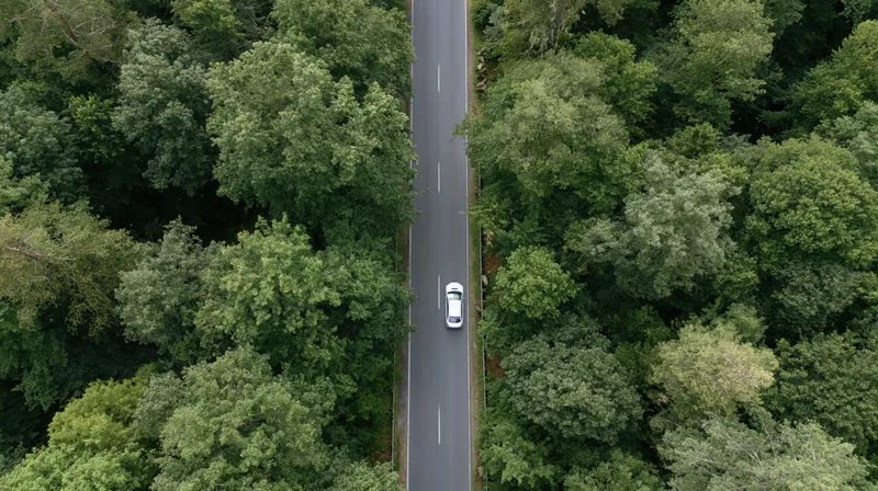 Aerial top-down view of a white car driving on a two-lane asphalt road through a dense green forest