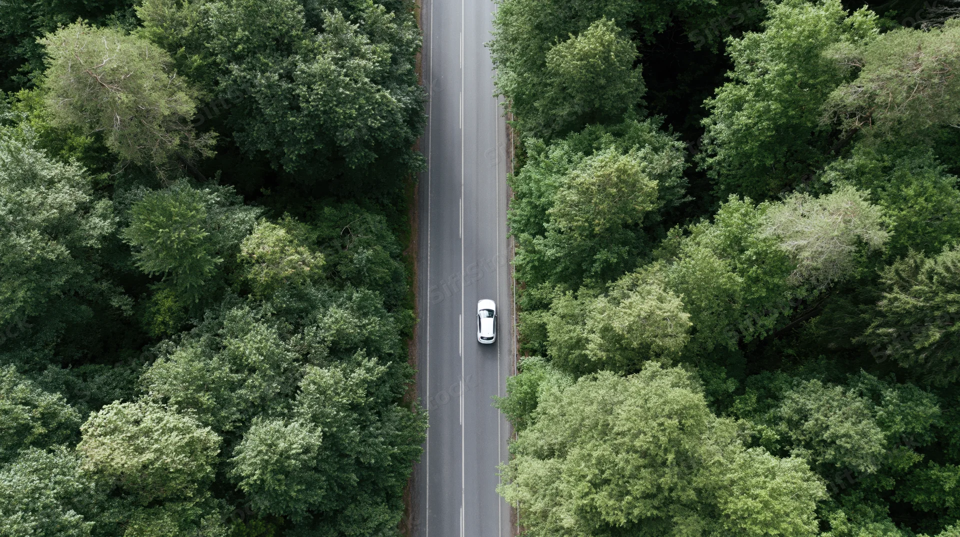 Aerial top-down view of a white car driving on a two-lane asphalt road through a dense green forest