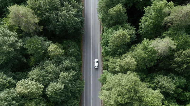 Aerial top-down view of a white car driving on a two-lane asphalt road through a dense green forest