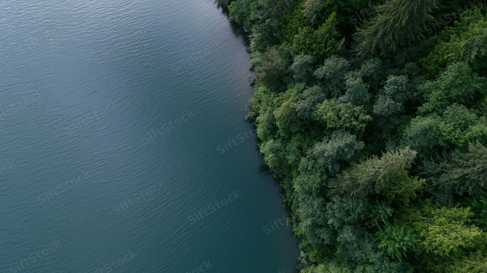 Aerial view of calm lake meeting dense forest shoreline
