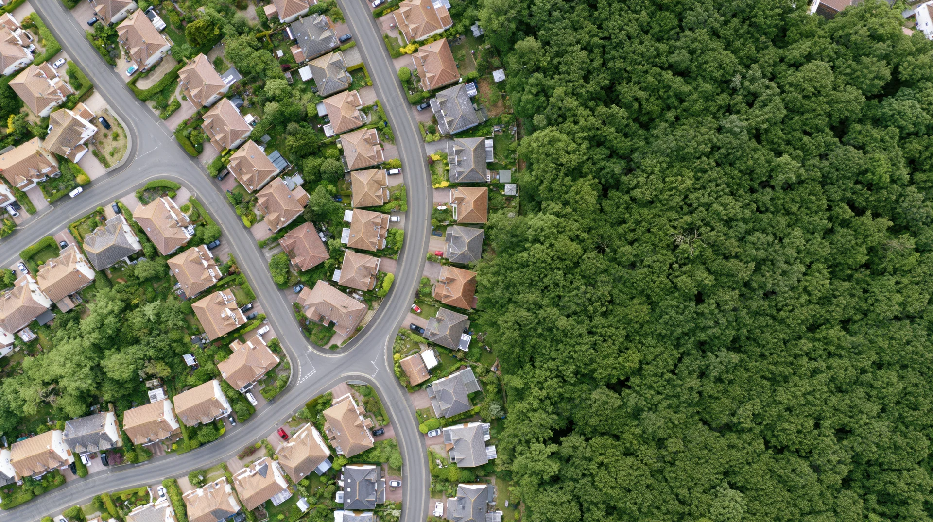 Aerial top-down view of a dense british residential suburb with winding streets and green forest border