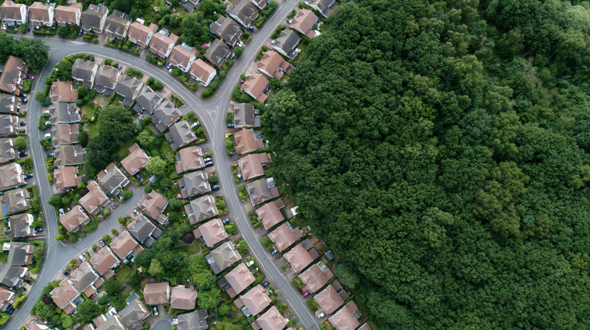 Aerial top-down view of a dense british residential suburb with houses and green woodland
