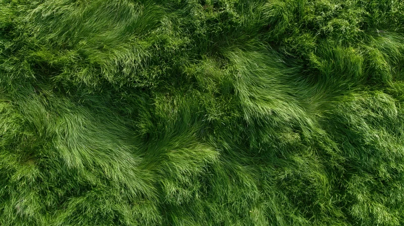 Aerial top-down view of dense green grass field filling the frame