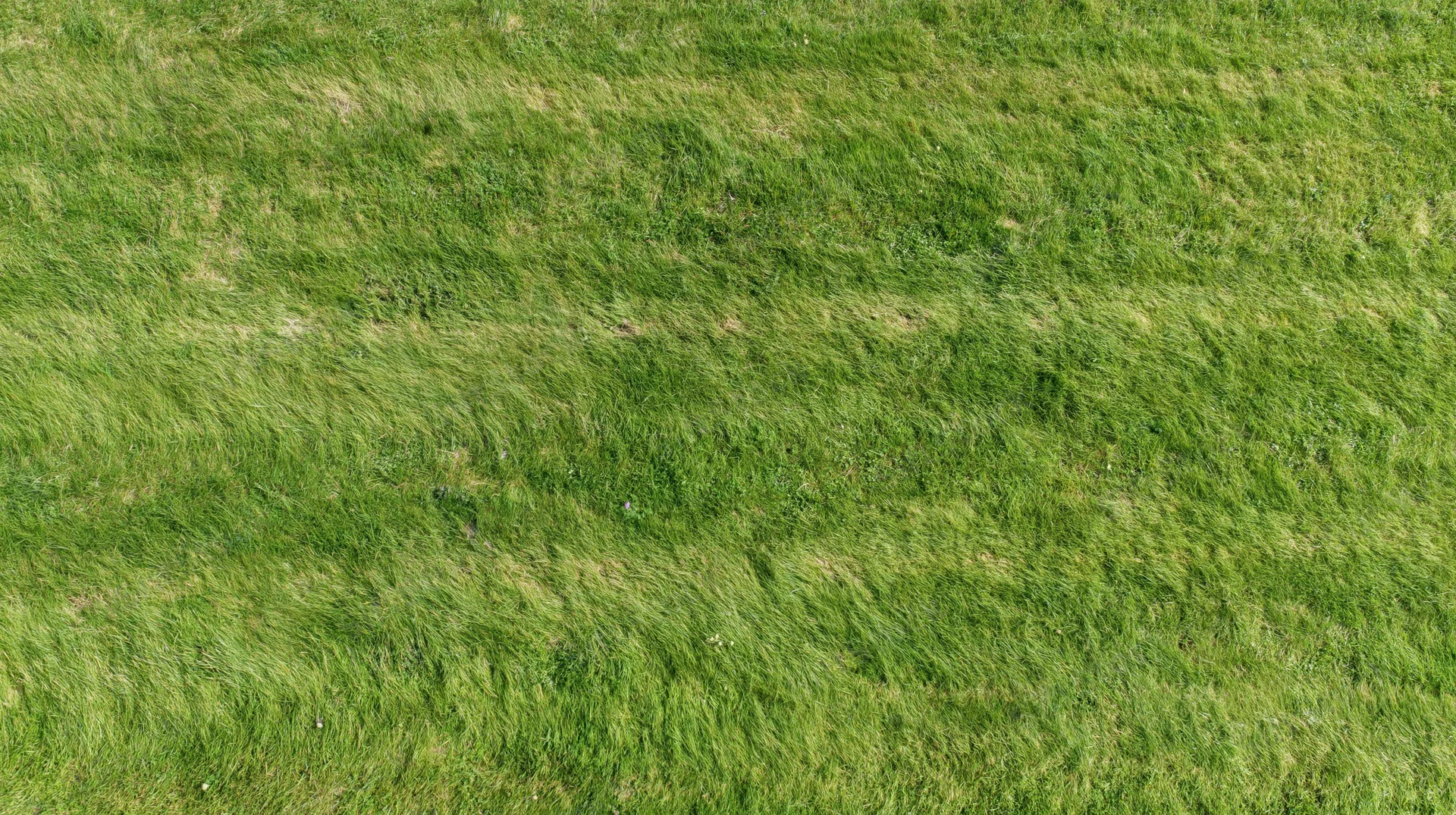 Aerial top-down view of a flat mowed grass field filling the frame
