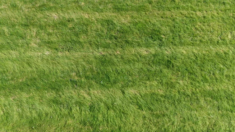 Aerial top-down view of a flat mowed grass field filling the frame