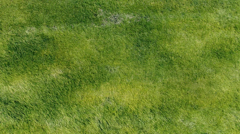 Aerial top-down view of a mowed grass field filling the frame