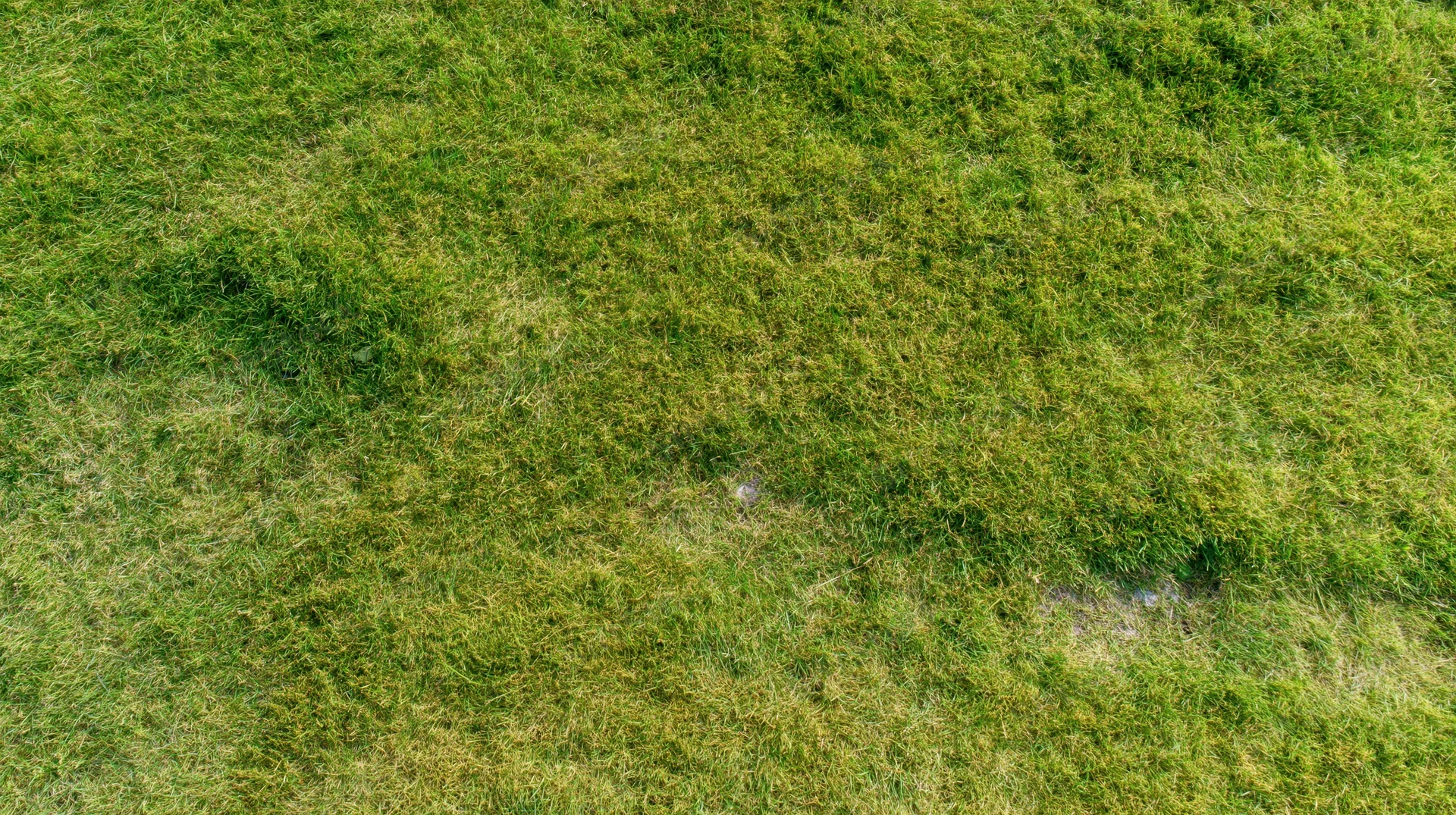 Aerial top-down view of a mowed grass field filling the frame