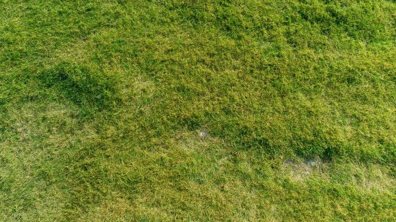 Aerial top-down view of a mowed grass field filling the frame