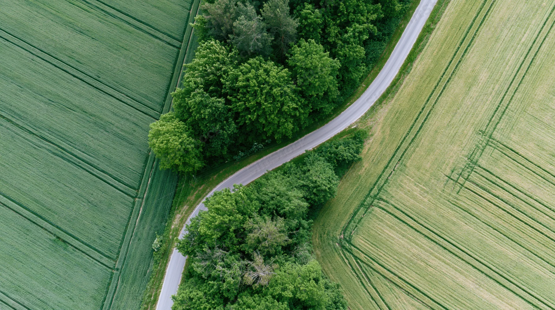 Aerial top-down view of a winding rural road curving between green agricultural fields and a tree-lined forest