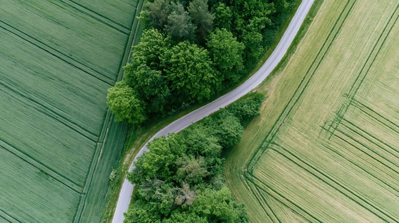 Aerial top-down view of a winding rural road curving between green agricultural fields and a tree-lined forest
