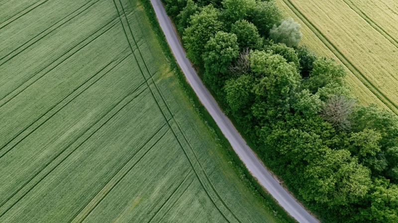 Aerial view of a narrow rural road curving between green fields and a tree-lined hedgerow