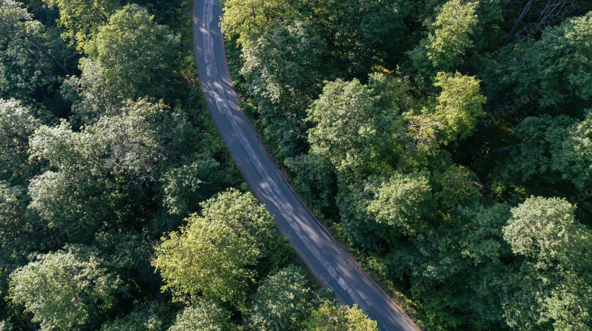 Aerial top-down view of a winding road through a dense green forest