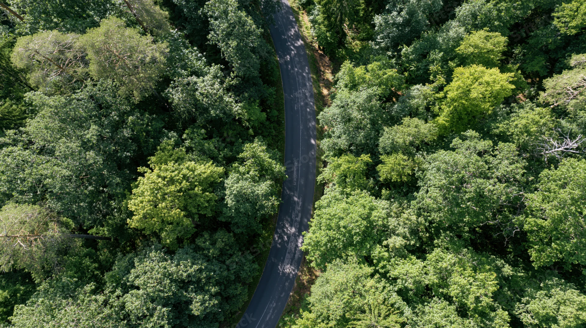 Aerial top-down view of a winding road through a dense green forest