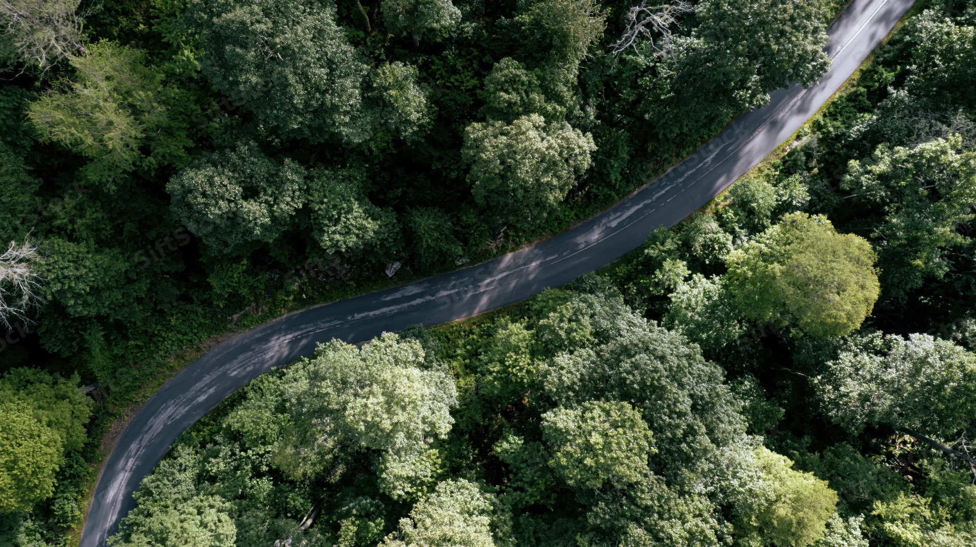 Aerial top-down view of a winding two-lane road through a dense green forest