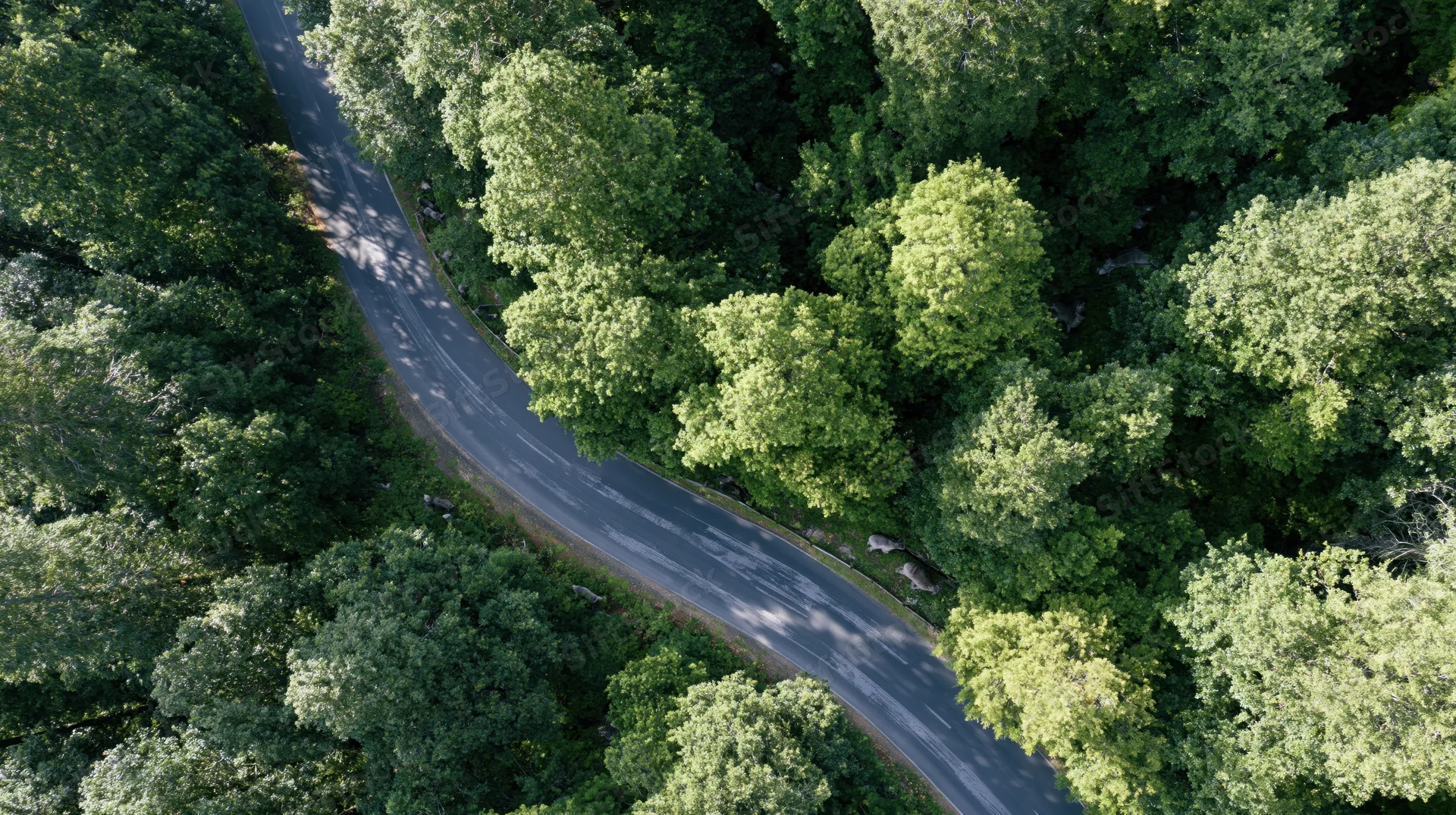 Aerial top-down view of a winding two-lane road through a dense green forest