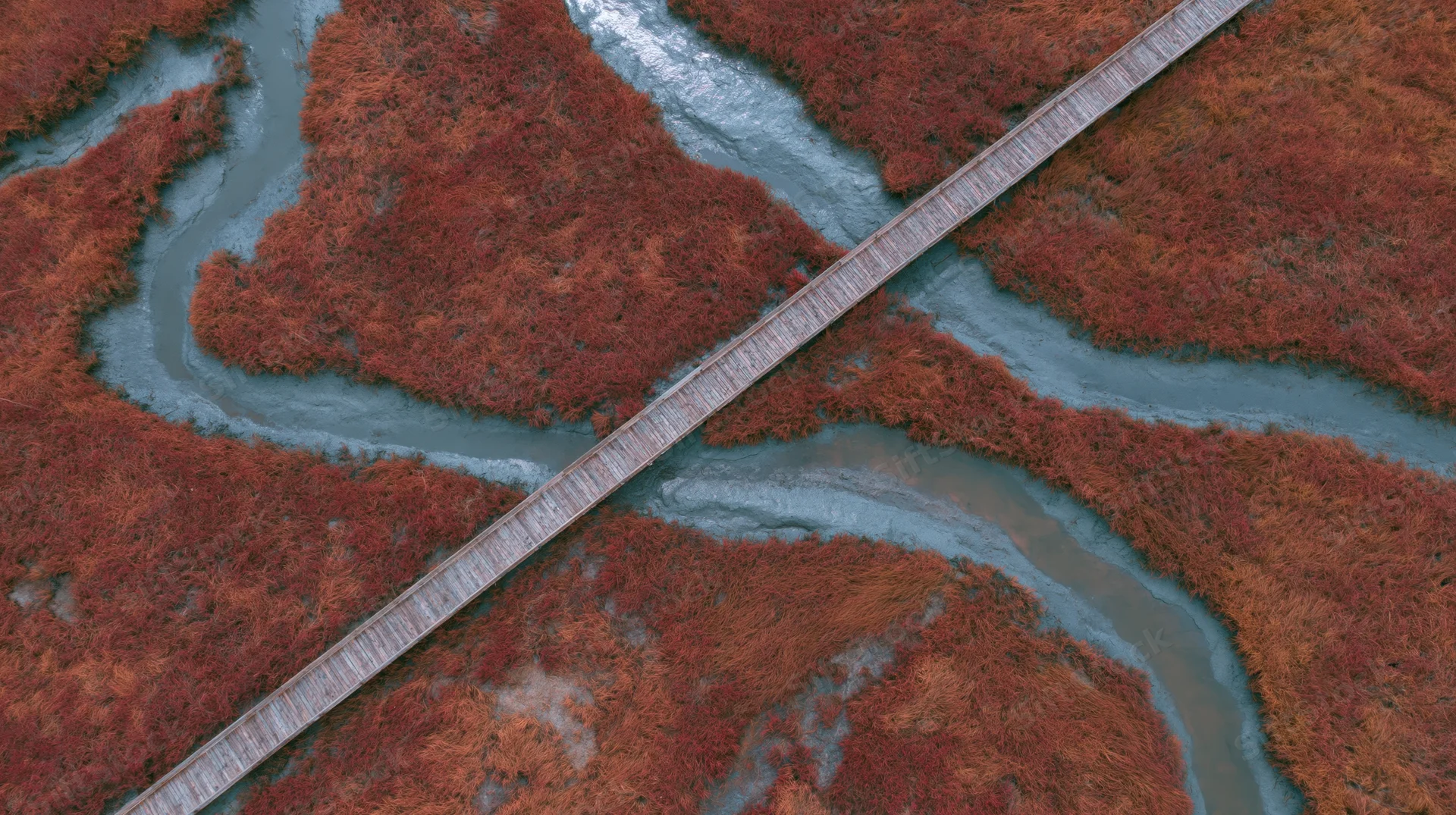 Aerial top-down view of a narrow wooden boardwalk crossing a meandering river through red autumn wetland