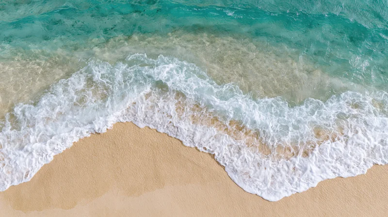 Aerial top-down view of gentle waves washing onto a sandy tropical beach