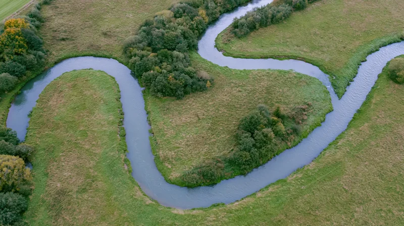 Aerial top-down view of a meandering river winding through grassy floodplain with trees and shrubs