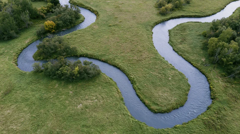 Aerial top-down view of a meandering river winding through green grasslands and trees