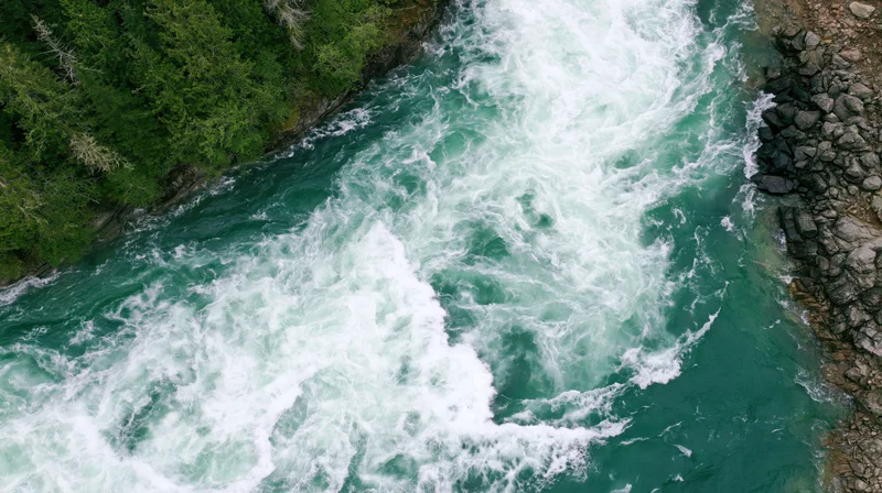 Aerial top-down view of a turbulent whitewater river rushing through a forested canyon with rocky banks