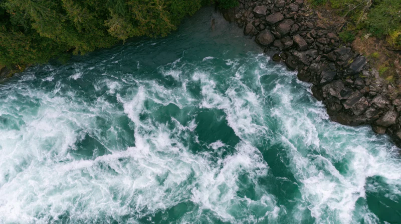 Aerial top-down view of turbulent whitewater river rushing through forested canyon