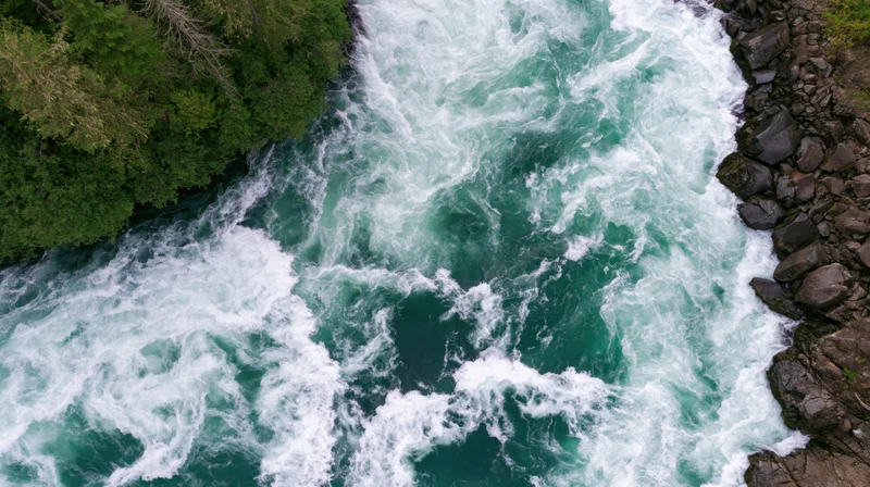 Aerial top-down view of a turbulent whitewater river rushing through a forested canyon with rocks and green trees