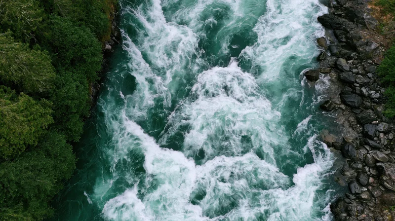 Aerial top-down view of a turbulent whitewater river rushing through a forested canyon with rocks and green trees