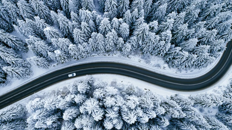 Winding road through snow-covered pine forest from aerial view