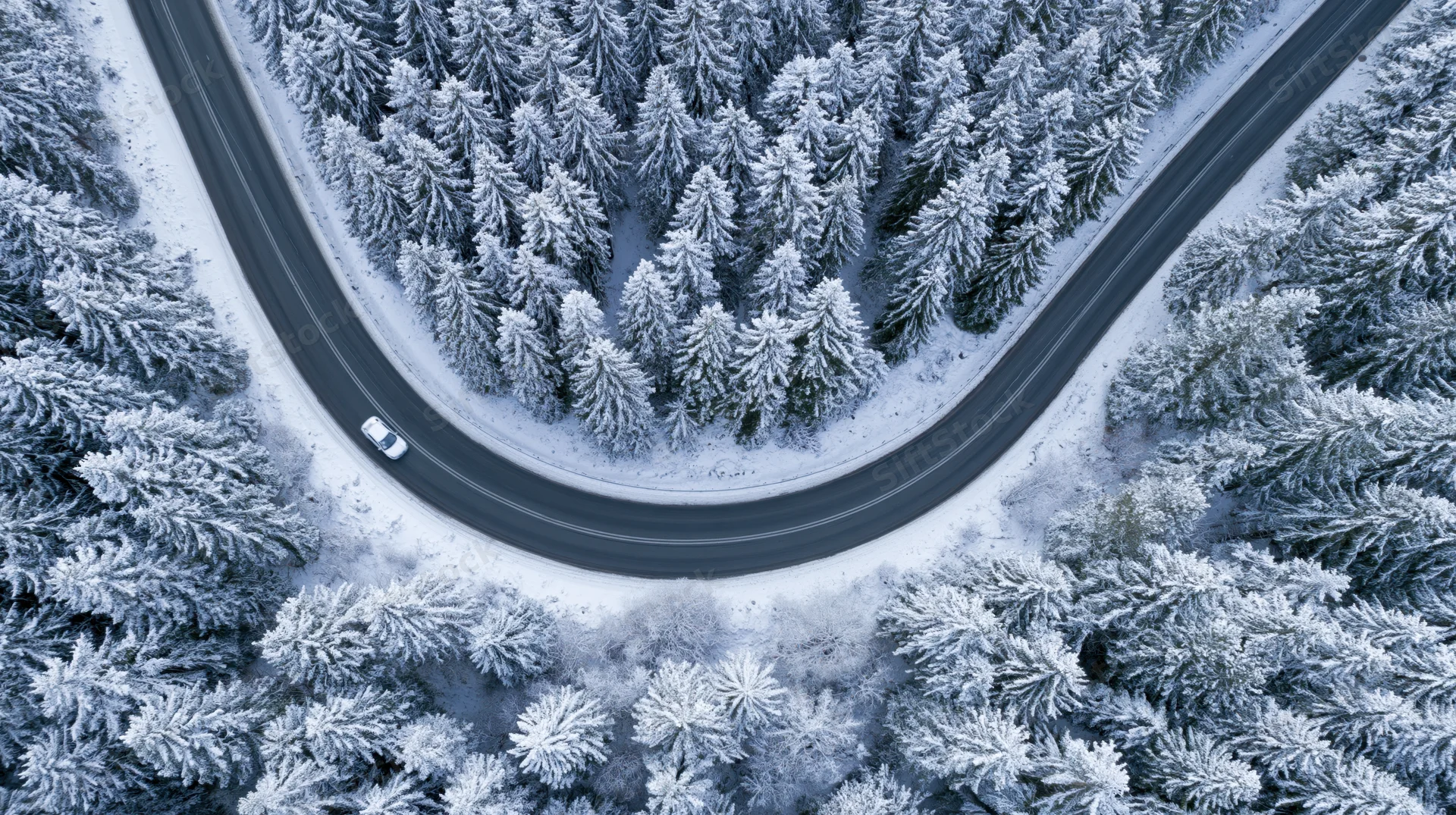 Aerial view of a winding road through a snow-covered pine forest with a car driving on it